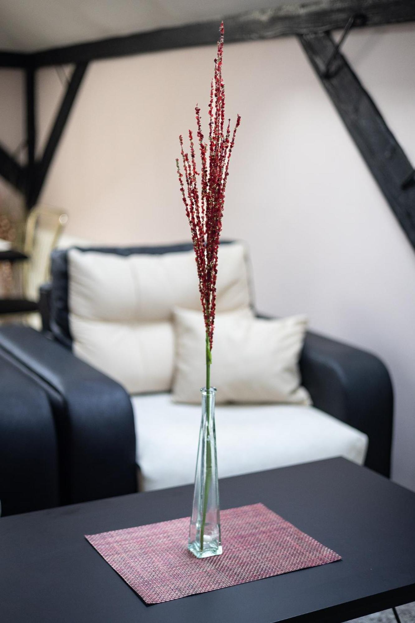 He-Ra Apartments With Free Parking Skopje Bilik gambar